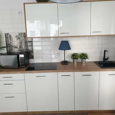 Wyjatkowy Apartament W Centrum Turystycznym Gdanska Gdańsk